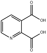 Quinolinic acid Structural Picture
