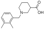 1-(2,3-dimethylbenzyl)piperidine-3-carboxylic acid