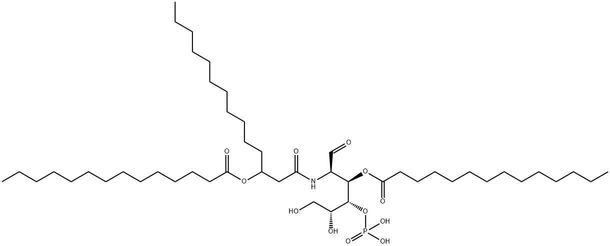 GLA 27 Structural