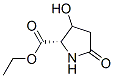 Proline, 3-hydroxy-5-oxo-, ethyl ester (7CI) Structural