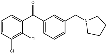 2,3-DICHLORO-3'-PYRROLIDINOMETHYL BENZOPHENONE