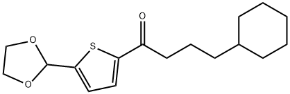 (3-CYCLOHEXYL)PROPYL 5-(1,3-DIOXOLAN-2-YL)-2-THIENYL KETONE