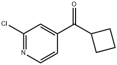 (2-CHLORO-PYRIDIN-4-YL)-CYCLOBUTYL-METHANONE