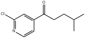 1-(2-CHLORO-PYRIDIN-4-YL)-4-METHYL-PENTAN-1-ONE