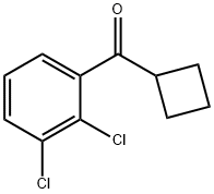 CYCLOBUTYL 2,3-DICHLOROPHENYL KETONE Structural