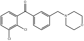 2,3-DICHLORO-3'-MORPHOLINOMETHYL BENZOPHENONE