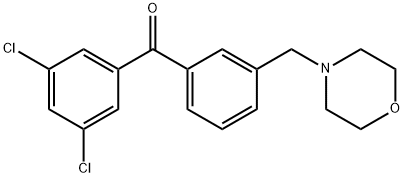 3,5-DICHLORO-3'-MORPHOLINOMETHYL BENZOPHENONE