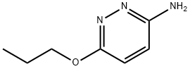 6-Propoxypyridazin-3-amine Structural