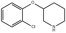 3-(2-CHLOROPHENOXY)PIPERIDINE Structural