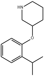 3-(2-ISOPROPYL-PHENOXY)-PIPERIDINE