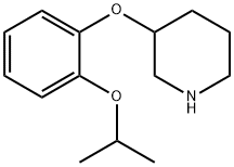 3-(2-ISOPROPOXY-PHENOXY)-PIPERIDINE