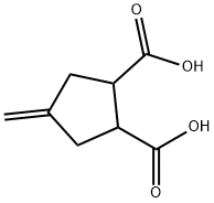 4-METHYLENE-CYCLOPENTANE-1,2-DICARBOXYLIC ACID