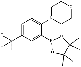 2-Morpholin-4-yl-5-(trifluoromethyl)benzeneboronic acid, pinacol ester Structural