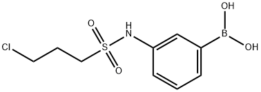 3-(3-CHLOROPROPYLSULPHONAMIDO)BENZENEBORONIC ACID 98 Structural