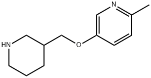 2-METHYL-5-(3-PIPERIDINYLMETHOXY)PYRIDINE Structural