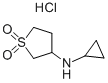 Cyclopropyl-(1,1-dioxo-tetrahydrothiophen-3-yl)-amine hydrochloride