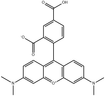 5-Carboxytetramethylrhodamine