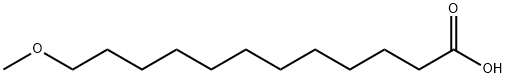 12-METHOXYDODECANOIC ACID