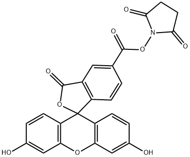 5-Carboxyfluorescein N-succinimidyl ester