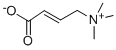 CROTONYLBETAINE(CARNITINE IMPURITY)(RG)