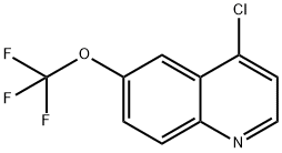 4-CHLORO-6-TRIFLUOROMETHOXYQUINOLINE Structural