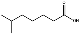 6-METHYLHEPTANOIC ACID