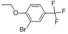 2-Bromo-1-ethoxy-4-trifluoromethyl-benzene