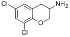 2H-1-BENZOPYRAN-3-AMINE,6,8-DICHLORO-3,4-DIHYDRO- Structural