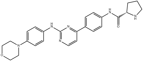 XL019 Structural