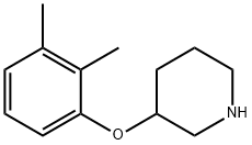 3-(2,3-DIMETHYLPHENOXY)PIPERIDINE