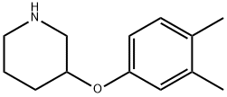 3-(3,4-DIMETHYLPHENOXY)PIPERIDINE