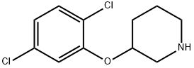 3-(2,5-DICHLOROPHENOXY)PIPERIDINE Structural