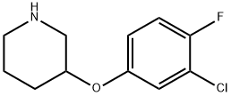 3-(3-CHLORO-4-FLUOROPHENOXY)PIPERIDINE Structural