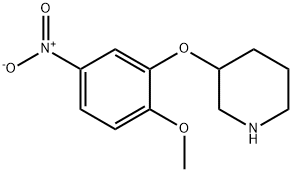 3-(2-METHOXY-5-NITROPHENOXY)PIPERIDINE Structural