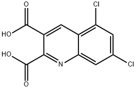 5,7-DICHLOROQUINOLINE-2,3-DICARBOXYLIC ACID