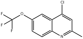 4-CHLORO-2-METHYL-6-TRIFLUOROMETHOXYQUINOLINE