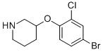 3-(4-Bromo-2-chloro-phenoxy)-piperidine Structural