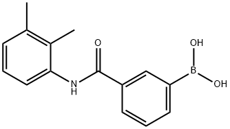 3-(2,3-Dimethylphenylcarbamoyl)phenylboronic acid