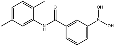 3-(2,5-Dimethylphenylcarbamoyl)phenylboronic acid