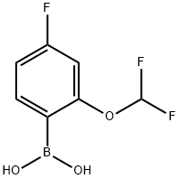 2-difluoromethoxy-4-fluoro-benzeneboronic acid