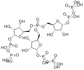 5-PHOSPHORYLRIBOSE-1-PYROPHOSPHATE