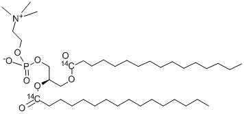 PHOSPHATIDYLCHOLINE, L-ALPHA-DIPALMITOYL, [DIPALMITOYL-1-14C]