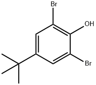 2,6-DIBROMO-4-TERT-BUTYL-PHENOL Structural