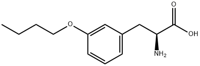 DL-3-Butoxyphenylalanine