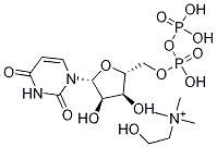 Uridine Diphosphate Choline Structural