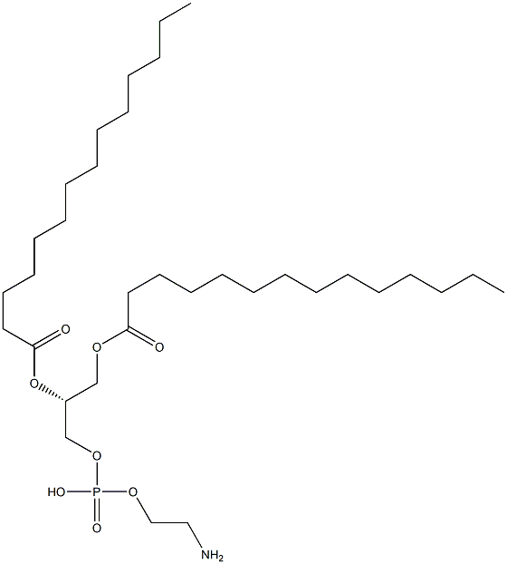 1,2-DIMYRISTOYL-SN-GLYCERO-3-PHOSPHOETHANOLAMINE Structural