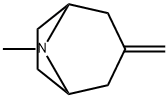 8-Methyl-3-methylene-8-aza-bicyclo[3.2.1]octane Structural