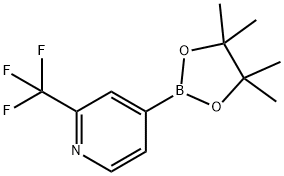 2-(TRIFLUOROMETHYL)PYRIDINE-4-BORONIC ACID PINACOL ESTER Structural