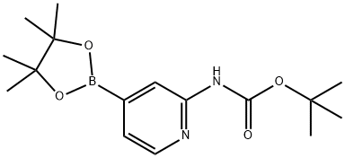 tert-Butyl[4-(4,4,5,5-tetramethyl-1,3,2-dioxaborolan-2-yl)pyridin
-2-yl]carbamate
 Structural