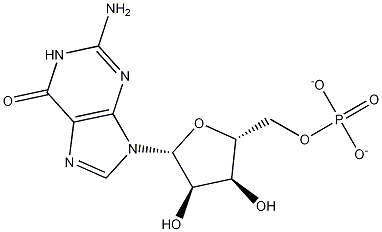 Guanylate Structural